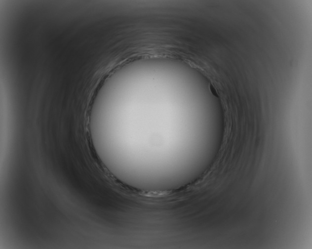 X0000084520720200703231630