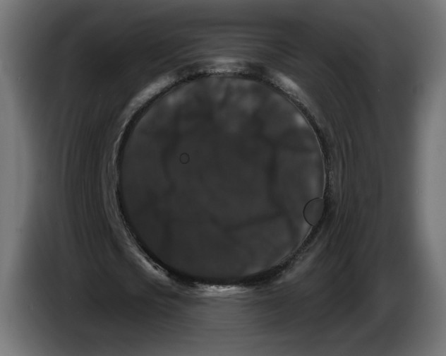 X0000084520721200703231630