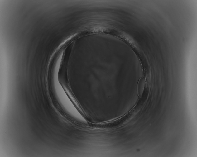 X0000084520722200703231630