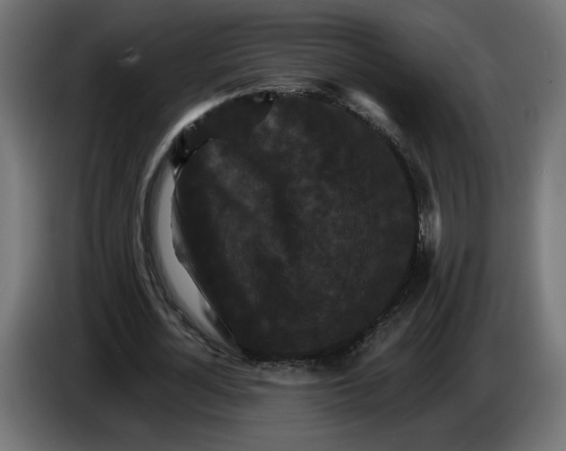 X0000084520724200703231630