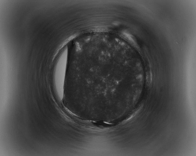 X0000084520725200703231630