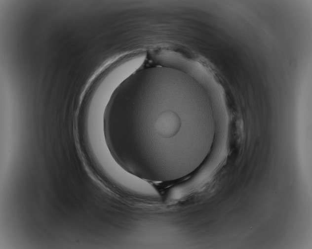 X0000084520726200703231630
