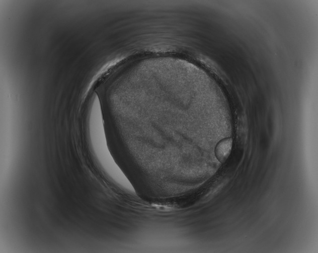 X0000084520727200703231630