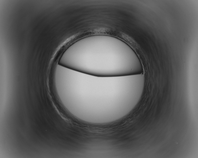 X0000084520728200703231630
