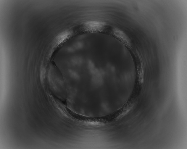 X0000084520729200703231630
