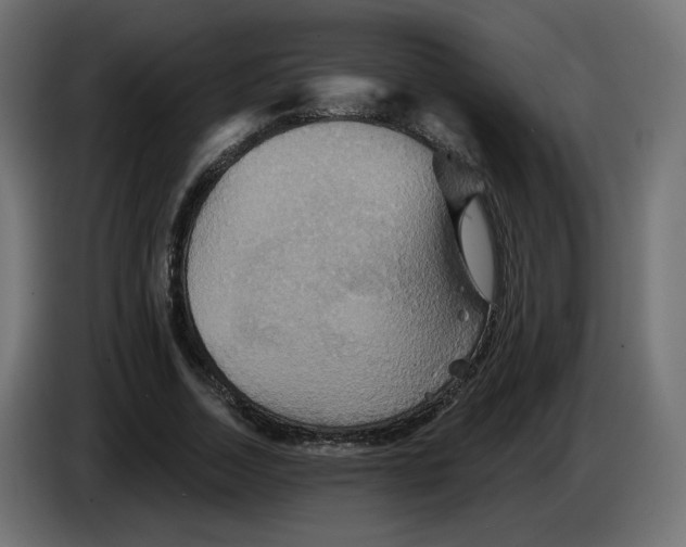 X0000084520730200703231630