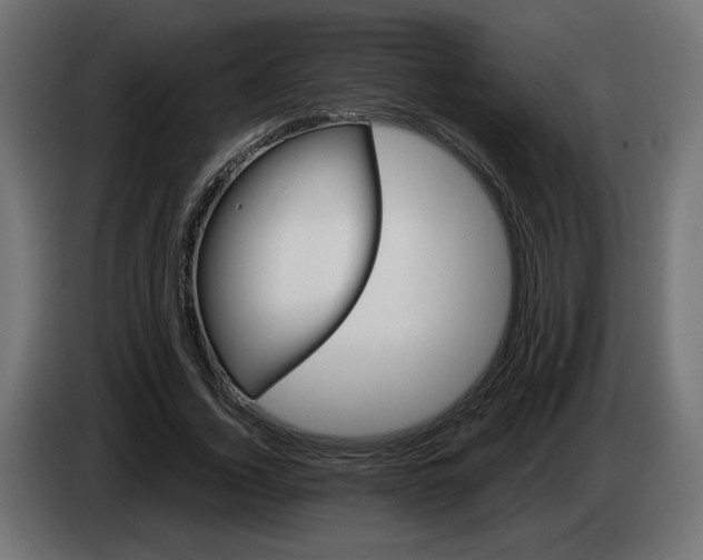 X0000084520732200703231630