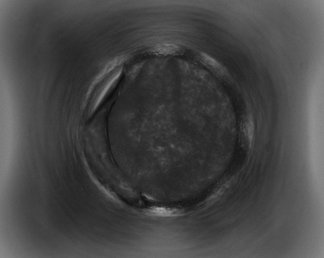 X0000084520734200703231630