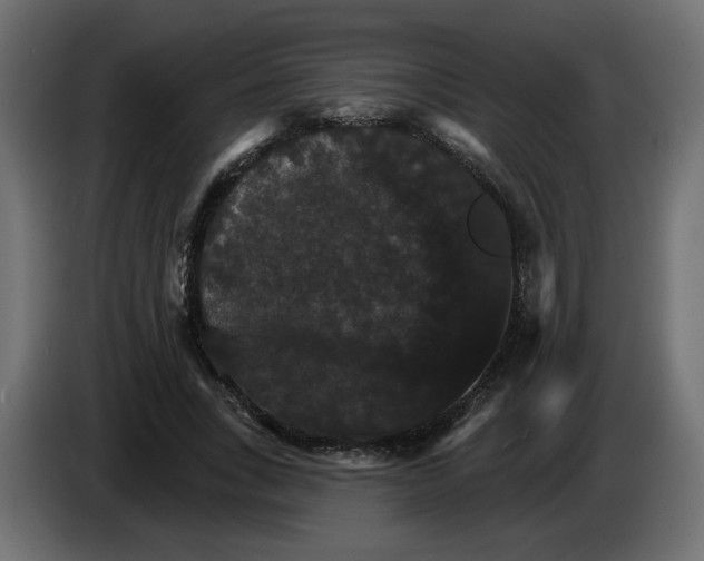 X0000084520735200703231630