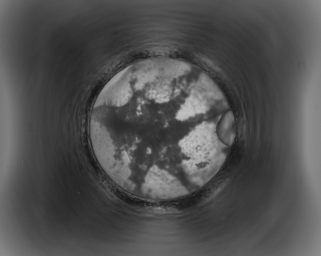 X0000084520737200703231630