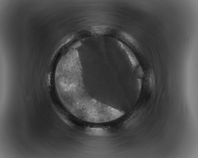 X0000084520738200703231630