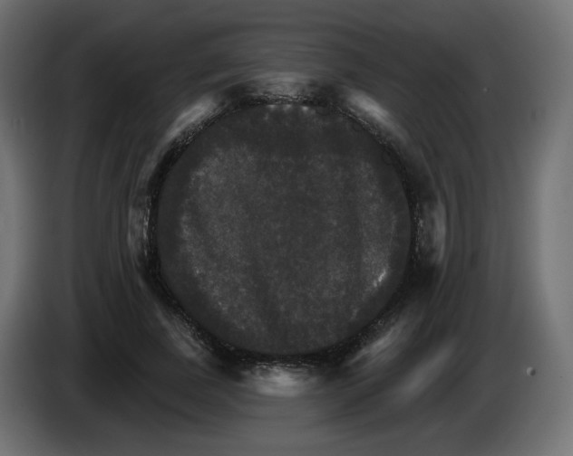 X0000084520739200703231630