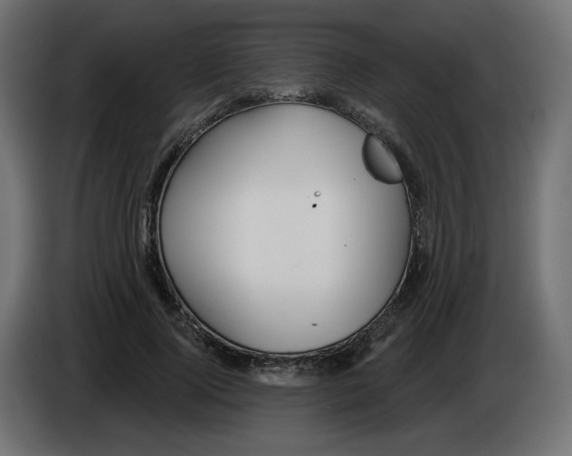 X0000084520740200703231630