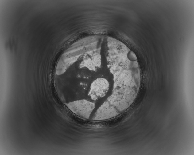 X0000084520741200703231630