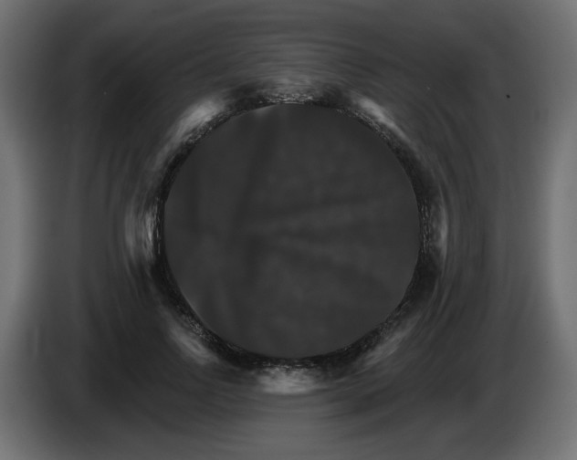 X0000084520742200703231630