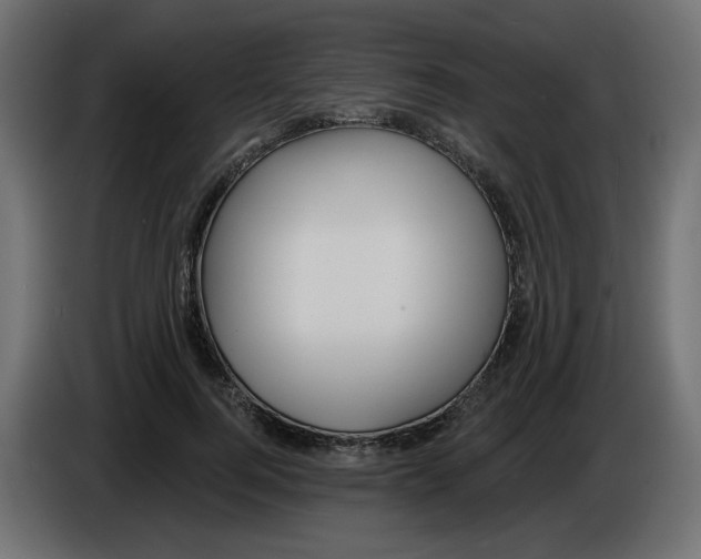 X0000084520744200703231630