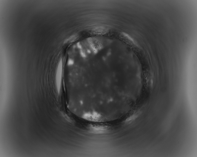 X0000084520745200703231630