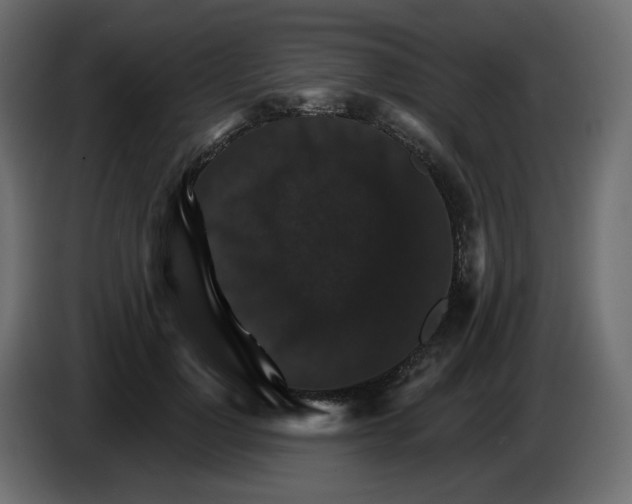 X0000084520748200703231630