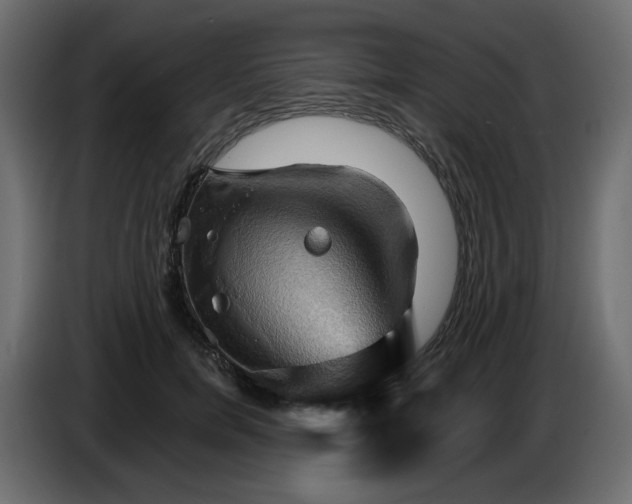 X0000084520750200703231630