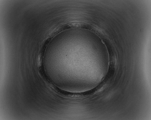X0000084520751200703231630