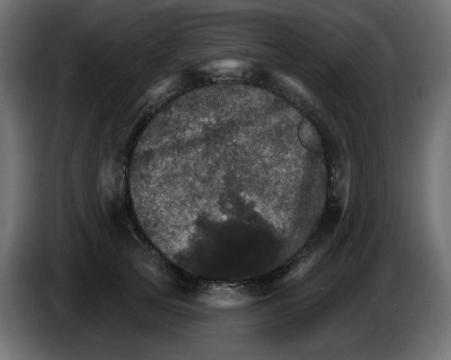 X0000084520753200703231630