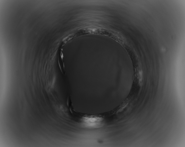 X0000084520754200703231630