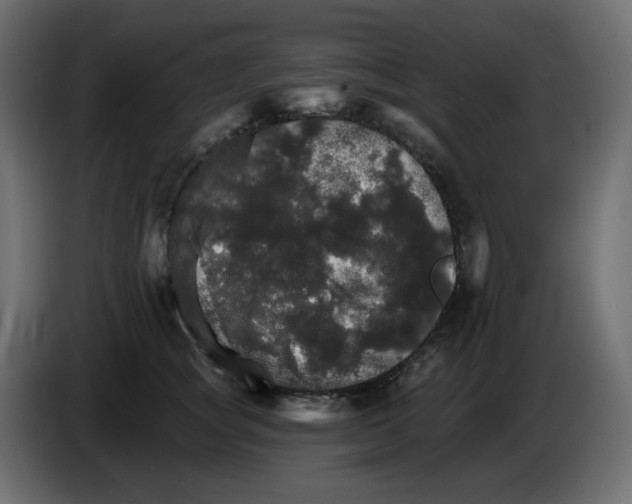 X0000084520757200703231630