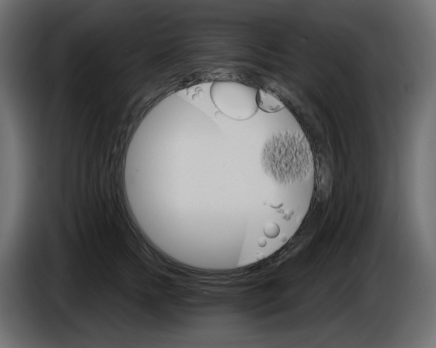 X0000084520758200703231630
