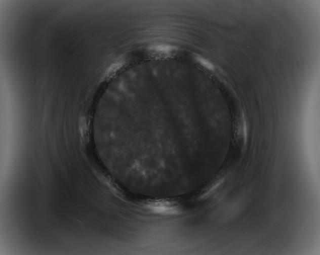 X0000084520759200703231630