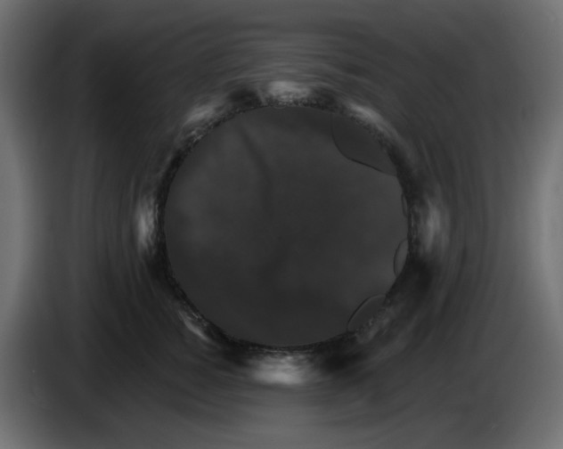 X0000084520760200703231630