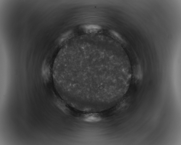 X0000084520761200703231630