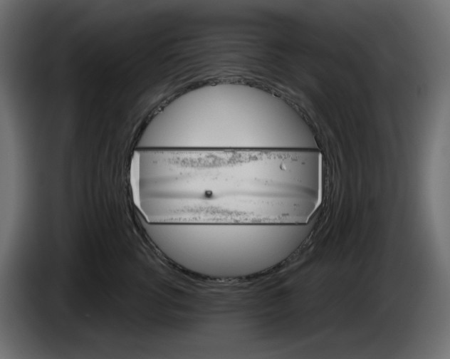 X0000084520762200703231630