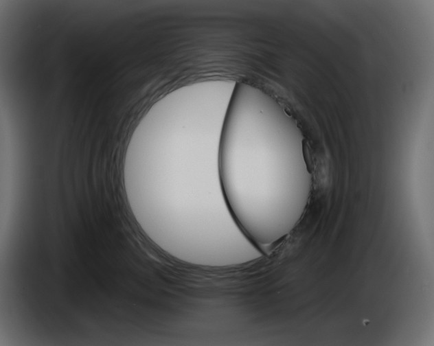 X0000084520764200703231630