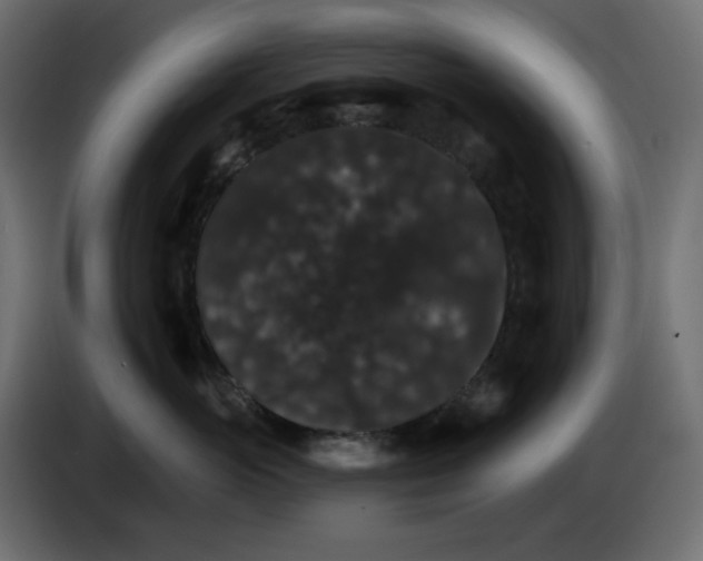 X0000084520765200703231630