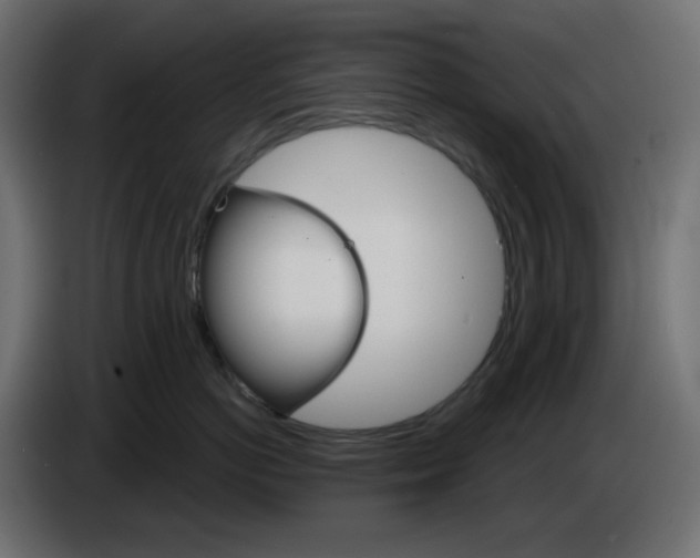 X0000084520766200703231630