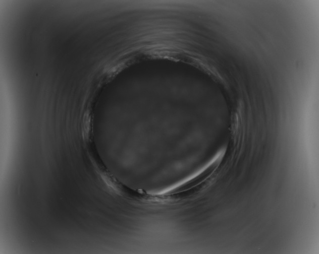 X0000084520767200703231630