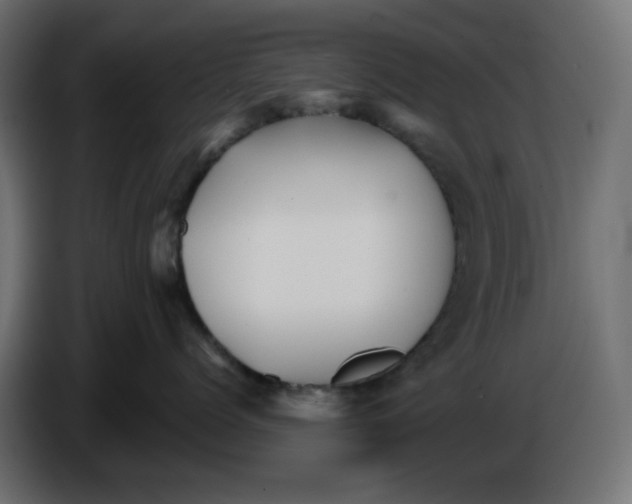X0000084520768200703231630
