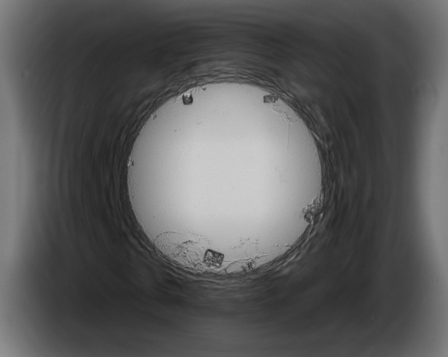 X0000084520769200703231630