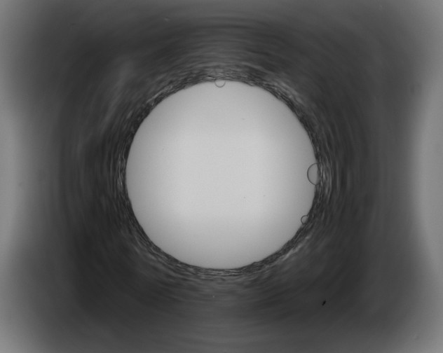 X0000084520770200703231630