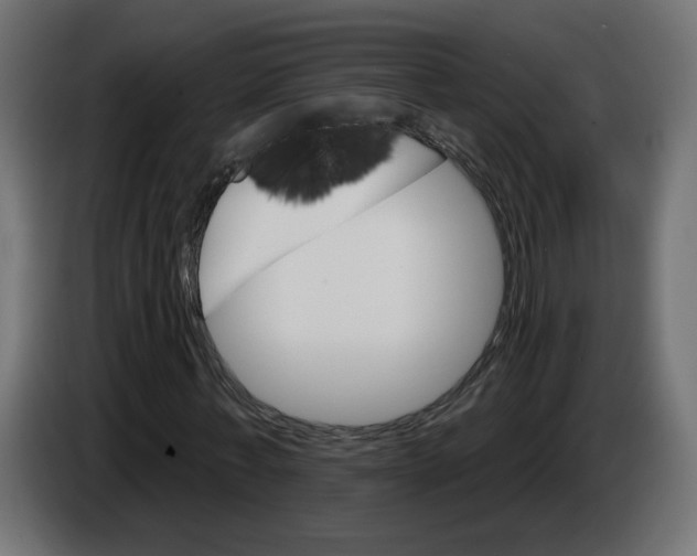 X0000084520771200703231630