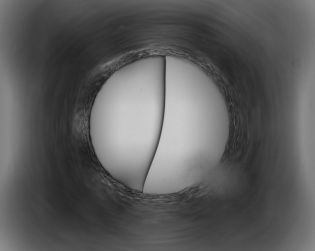 X0000084520773200703231630