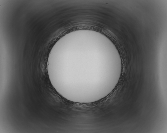 X0000084520774200703231630