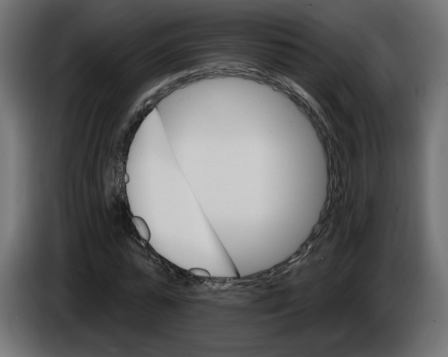 X0000084520775200703231630