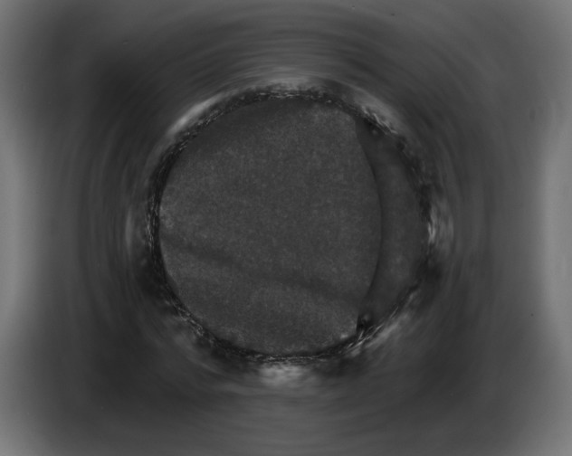 X0000084520776200703231630