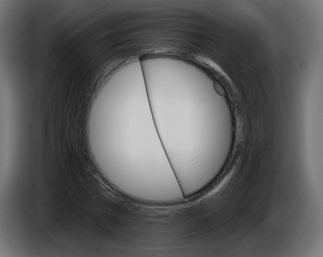 X0000084520777200703231630