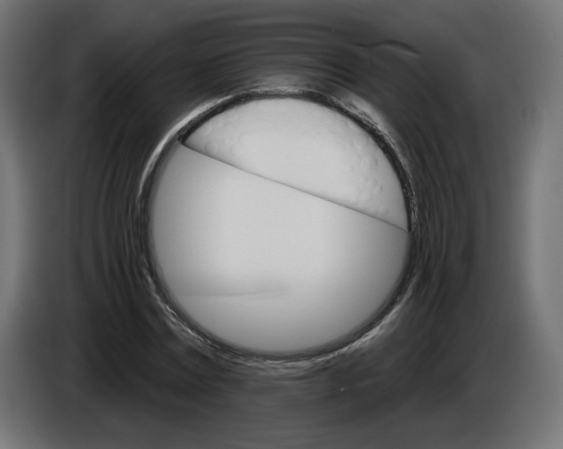 X0000084520779200703231630