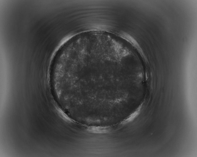 X0000084520780200703231630