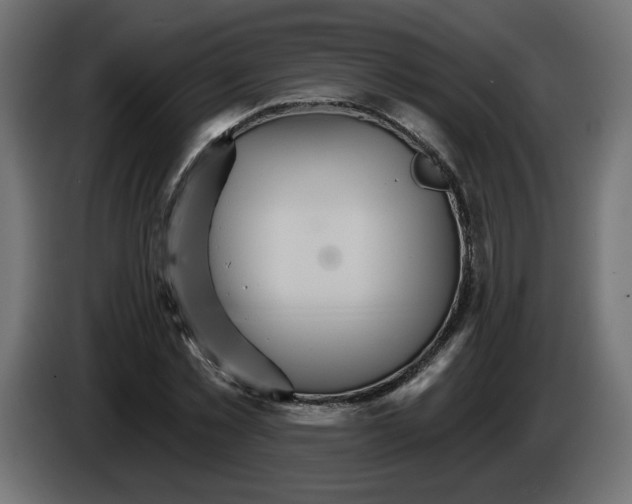 X0000084520781200703231630