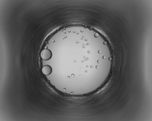 X0000084520782200703231630