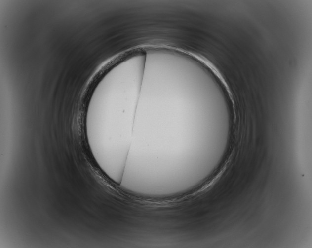 X0000084520783200703231630